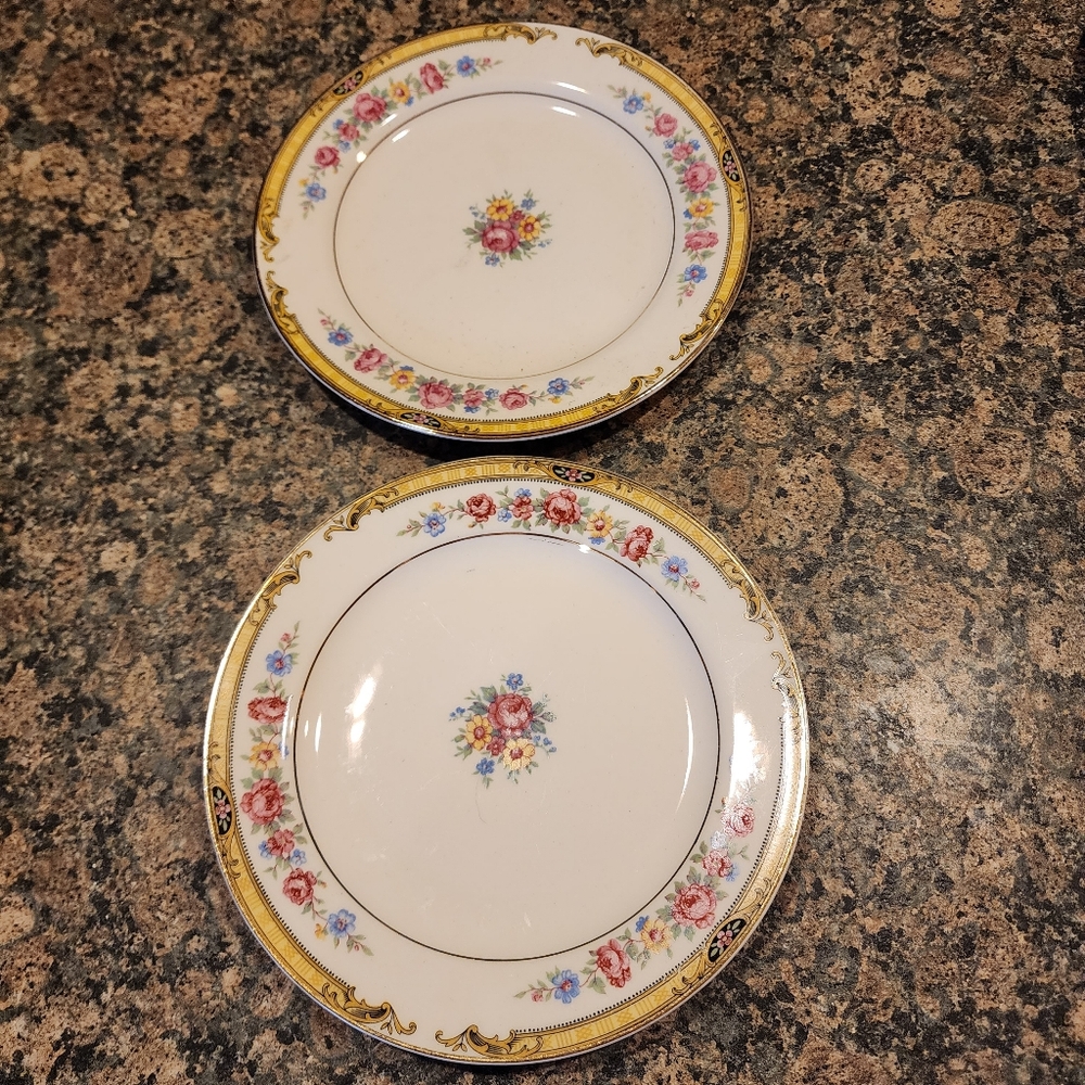 Edwin Knowles Elegant Floral Porcelain Plates - White and Gold